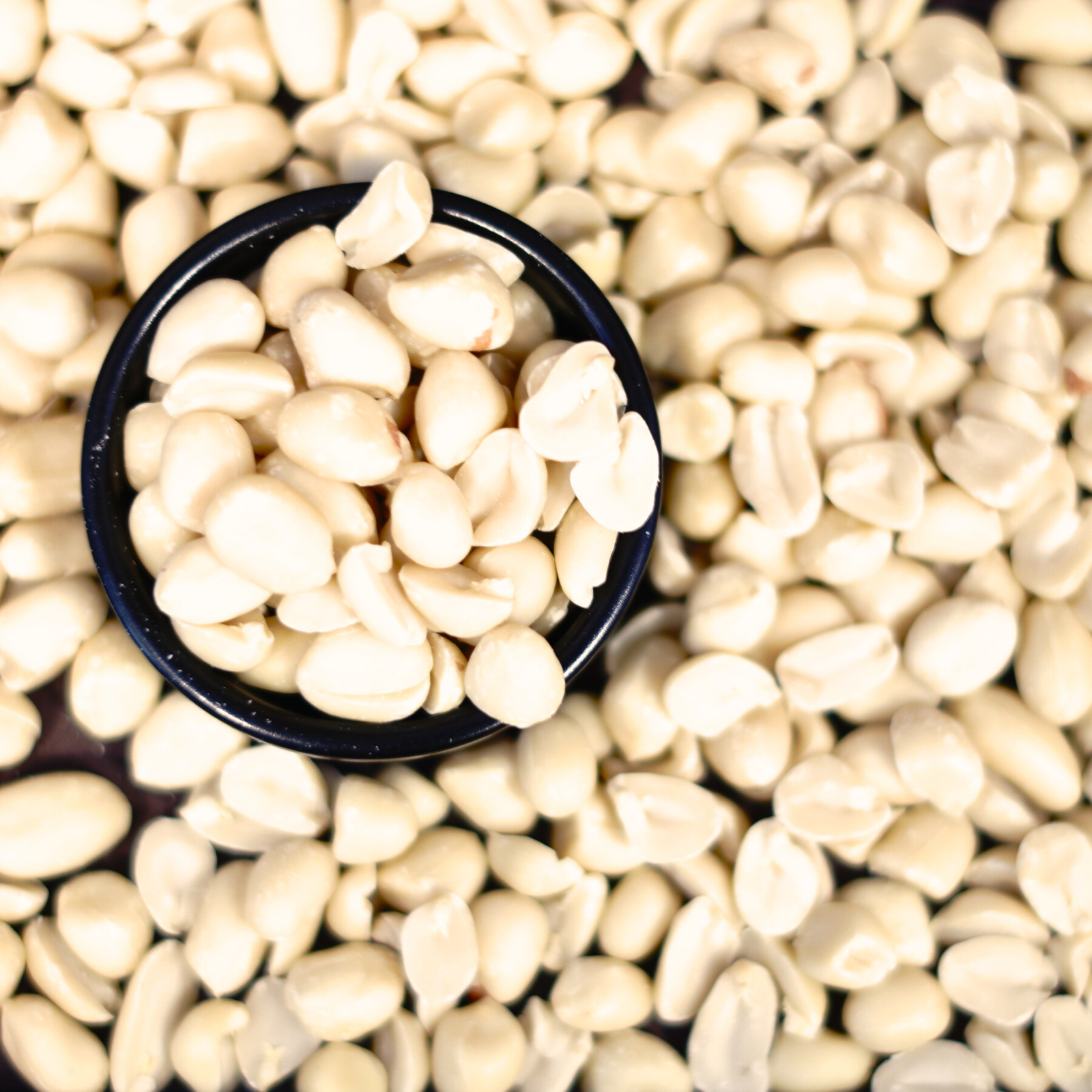 BIO Zemesrieksti (sveramie)